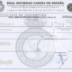 certificado de pedigree