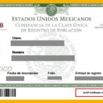 mi curp no está certificada: verificada con el registro civil