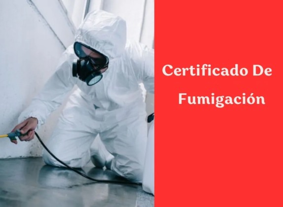 certificado de fumigación para exportación