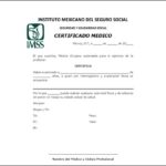 certificado médico imss